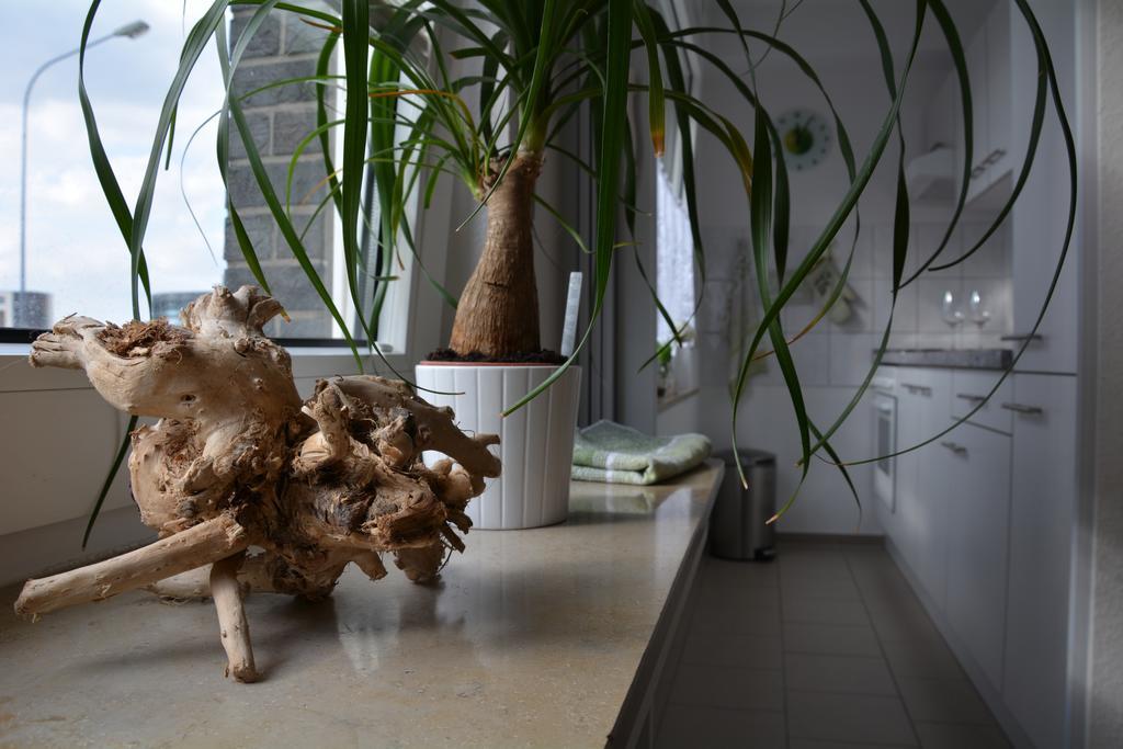 Innenstadt Appartement エッセン エクステリア 写真